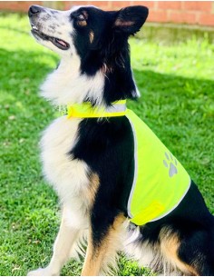 K-KTH100-Stretchy Hi-Vis Safety Vest For Dogs Buenos Aires