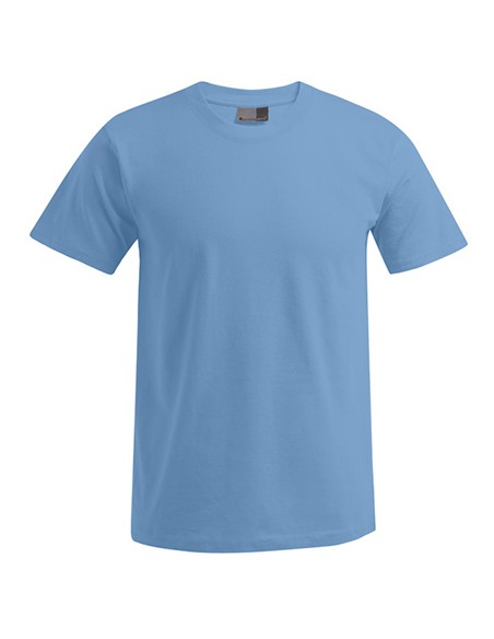 P-3000-3099--Mens Premium-T