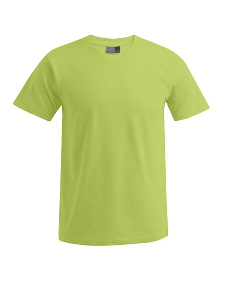 P-3000-3099--Mens Premium-T