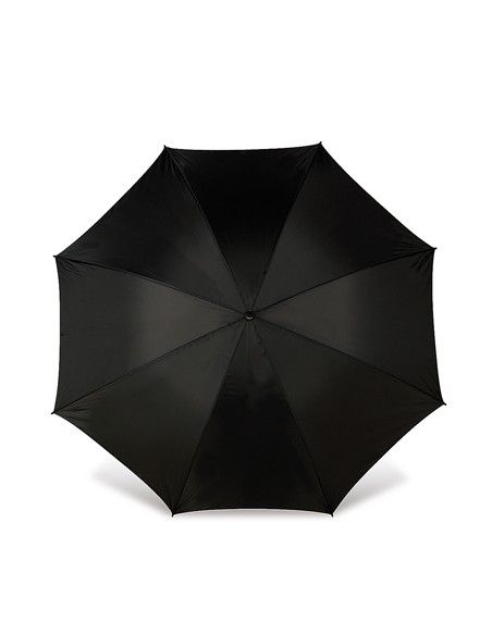 P-4087-Umbrella Dublin