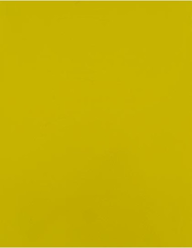 STH-SA150-CAD-CUT® SportsFilm