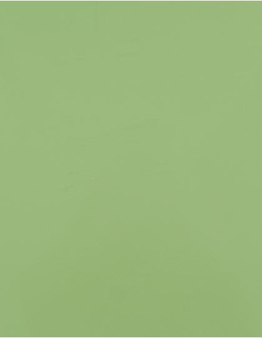 STH-SA150-CAD-CUT® SportsFilm