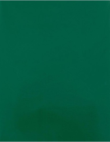 STH-SA909-CAD-CUT® Silicone 500