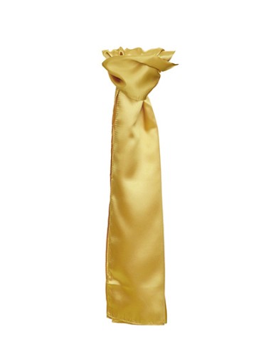 TYT-TT601-Satin Scarf