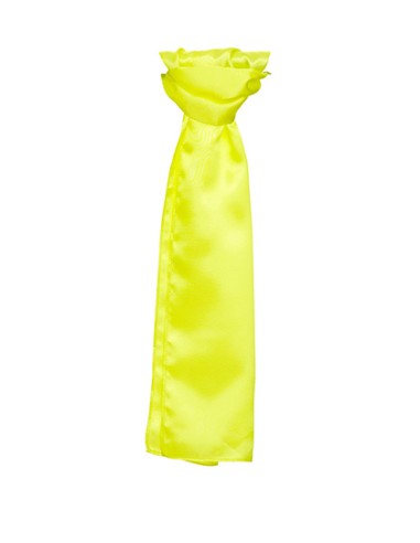 TYT-TT601-Satin Scarf