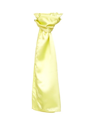 TYT-TT601-Satin Scarf