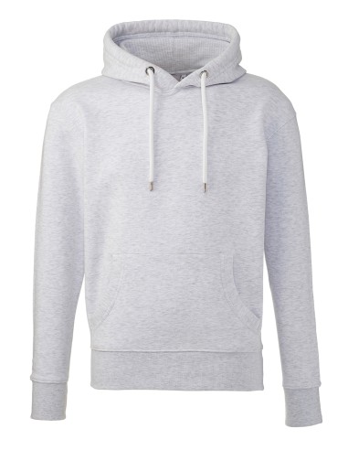 ANT-AM001-Sweat à capuche Anthem pour homme