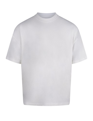 ANT-AM019-T-shirt délavé Anthem distortion