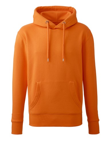 ANT-AM001-Sweat à capuche Anthem pour homme