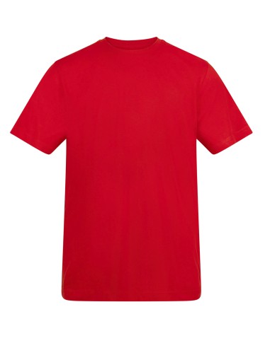 AWD-AT001-Le Tshirt 150 de AWDis