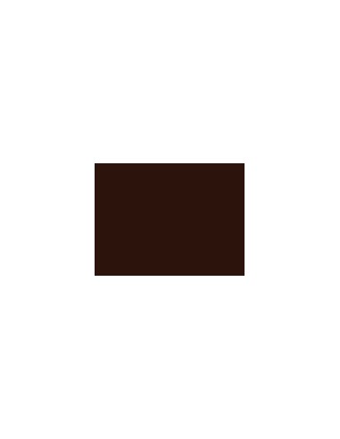 BetC-SWP24-
