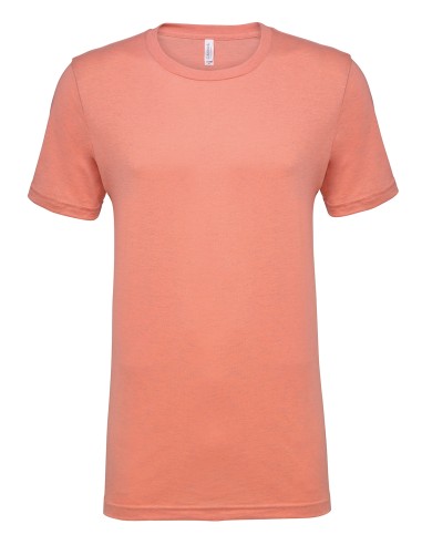 BEL-3001CVC-T-shirt col rond unisexe en jersey
