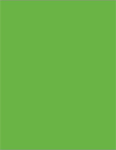 CFP-101N-141N-Uniflex™ Nature