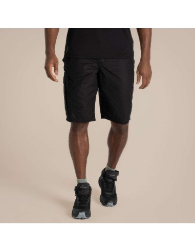 CRA-CEJ009-EXPERT KIWI LONG SHORT