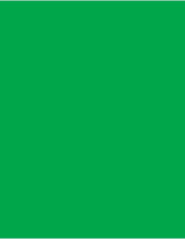CFP-101N-141N-Uniflex™ Nature