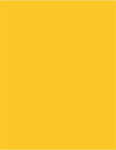 CFP-101N-141N-Uniflex™ Nature