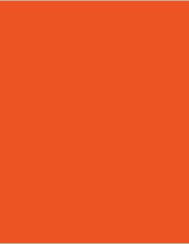 CFP-101N-141N-Uniflex™ Nature