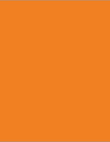 CFP-101N-141N-Uniflex™ Nature