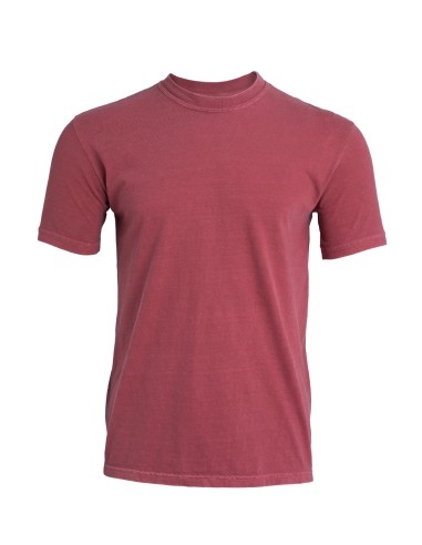 COM-1717-HEAVYWEIGHT ADULT TEE