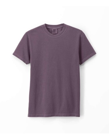 COM-1717-HEAVYWEIGHT ADULT TEE