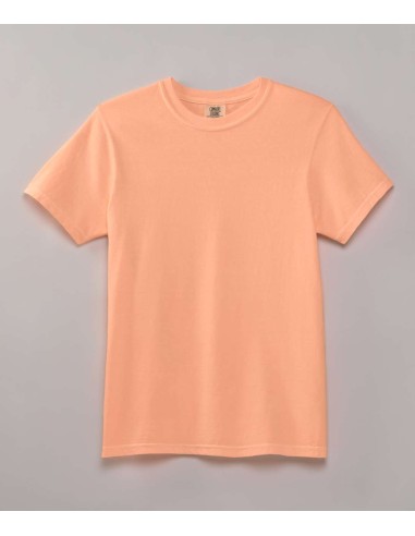 COM-1717-HEAVYWEIGHT ADULT TEE