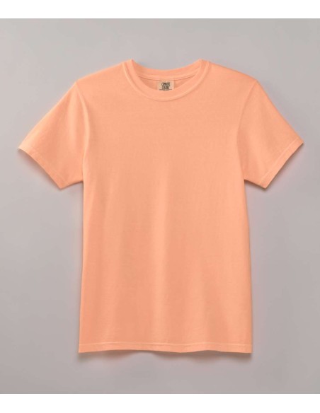 COM-1717-HEAVYWEIGHT ADULT TEE