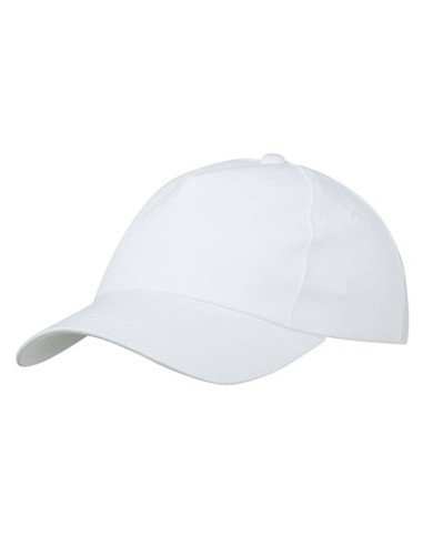 DAI-MB001-5 Panel Promo Cap