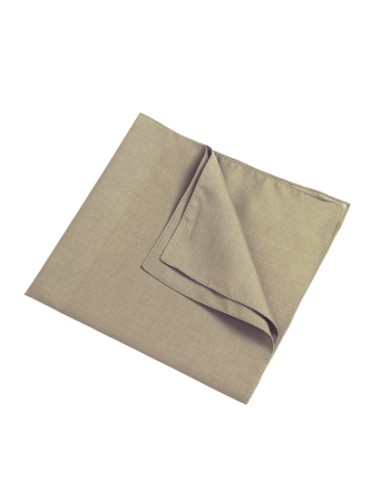 DAI-MB040-Bandana