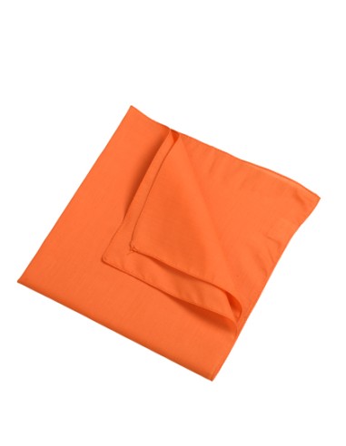 DAI-MB040-Bandana