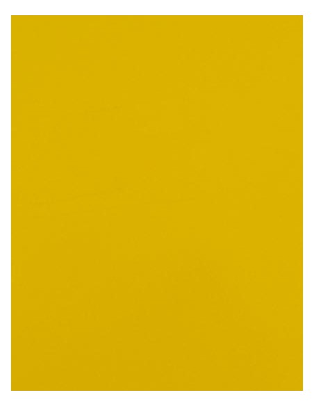 S-SA100-CAD-CUT® Premium Plus