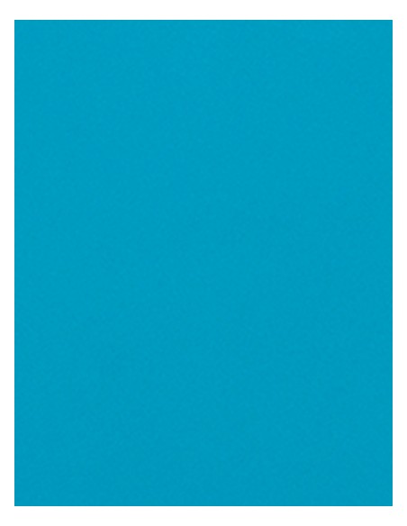 S-SA350-CAD-CUT® Flock