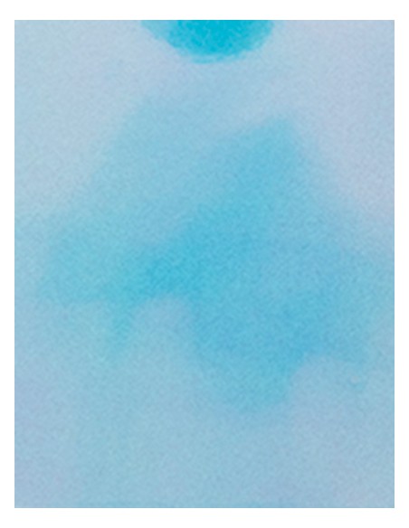 S-SA911-CAD-CUT® Disco