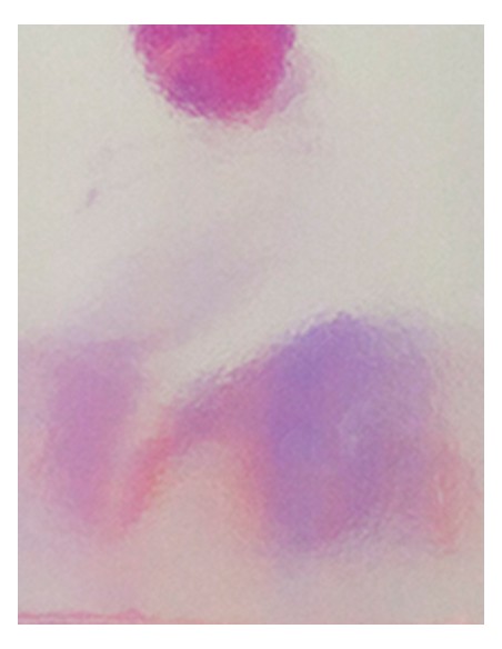 S-SA911-CAD-CUT® Disco