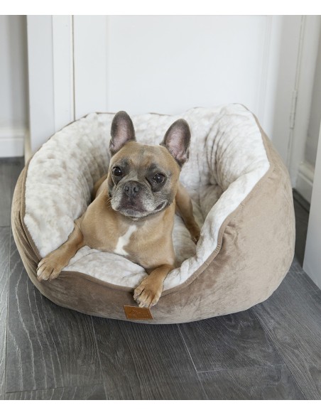 HOM-HL234-Lit papillon pour chien