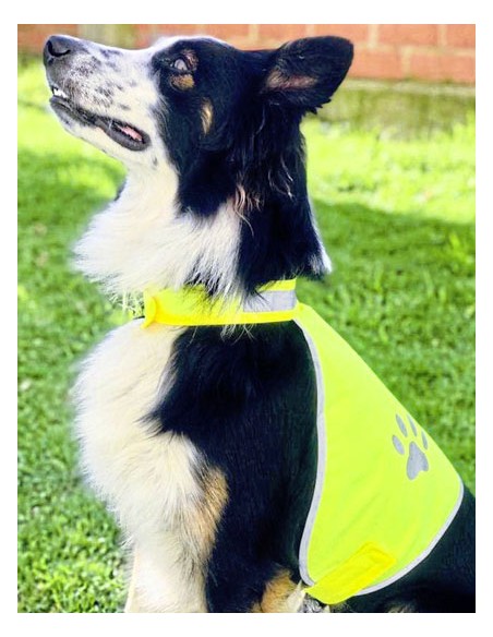 KOR-KTH100-Stretchy Hi-Vis Safety Vest For Dogs Buenos Aires