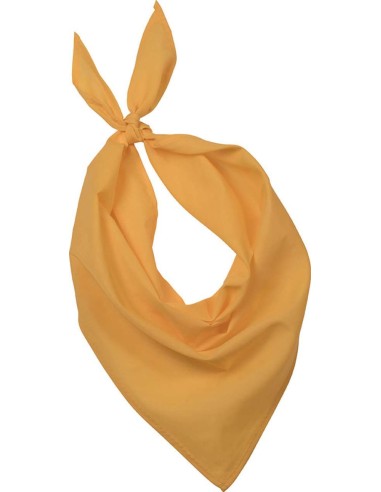 KUP-KP064-FIESTA - BANDANA