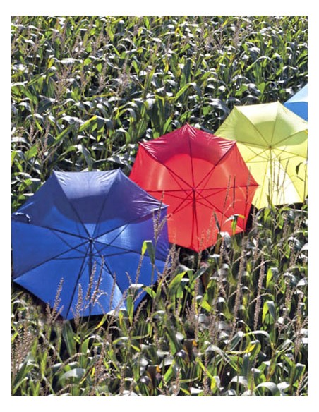 LME-4064-Automatic Umbrella With Wooden Handle