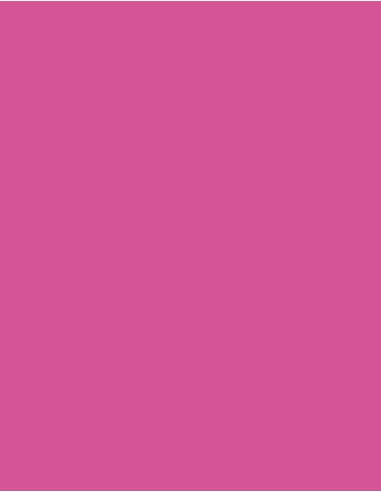MAE-919-719-Polyneon 40 (1.000 m)