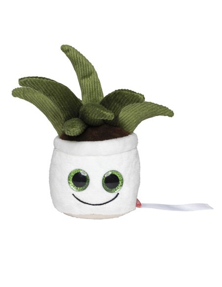MBW-M160847-Schmoozies® Evergreenies® Aloe Vera