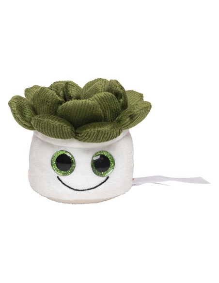 MBW-M160849-Schmoozies® Evergreenies® Succulent
