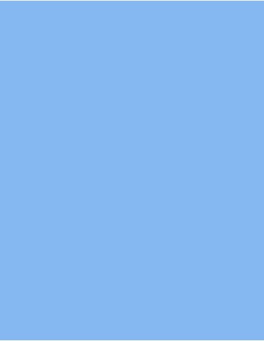 MAE-918-Polyneon 40 (5.000 m)
