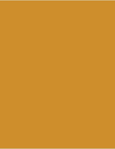 MAE-918-Polyneon 40 (5.000 m)