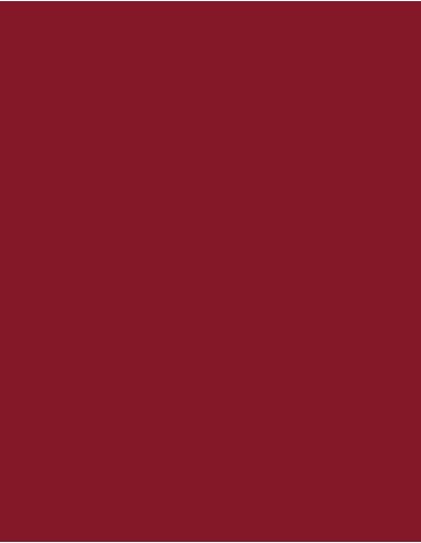 MAE-918-Polyneon 40 (5.000 m)