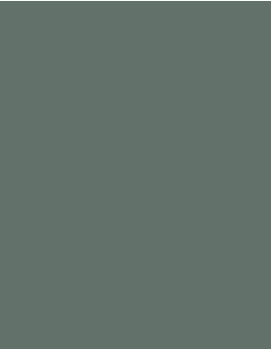 MAE-919-719-Polyneon 40 (1.000 m)