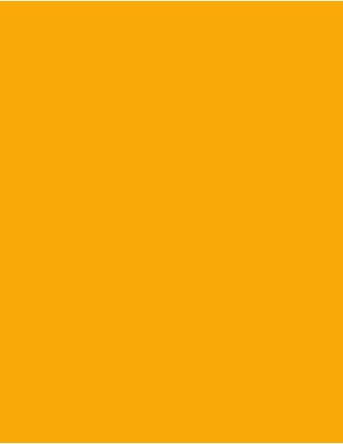 MAE-919-719-Polyneon 40 (1.000 m)