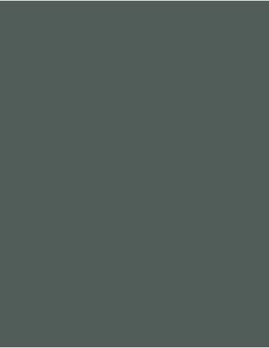 MAE-919-719-Polyneon 40 (1.000 m)