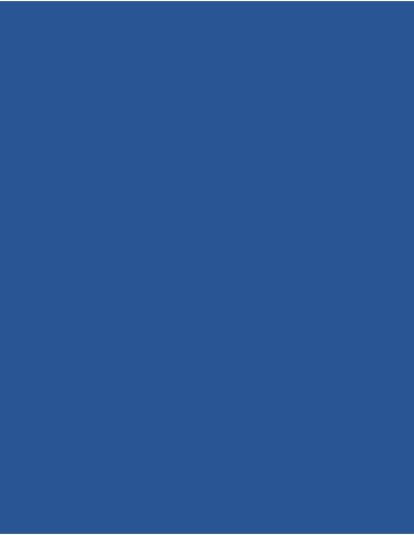MAE-919-719-Polyneon 40 (1.000 m)