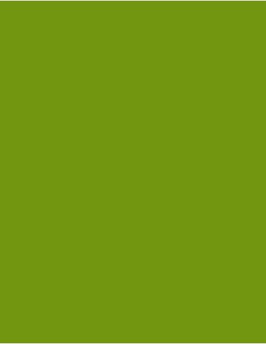 MAE-919-719-Polyneon 40 (1.000 m)