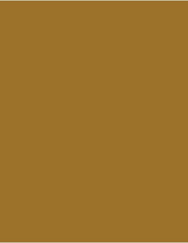 MAE-919-719-Polyneon 40 (1.000 m)