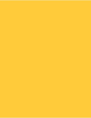MAE-919-719-Polyneon 40 (1.000 m)